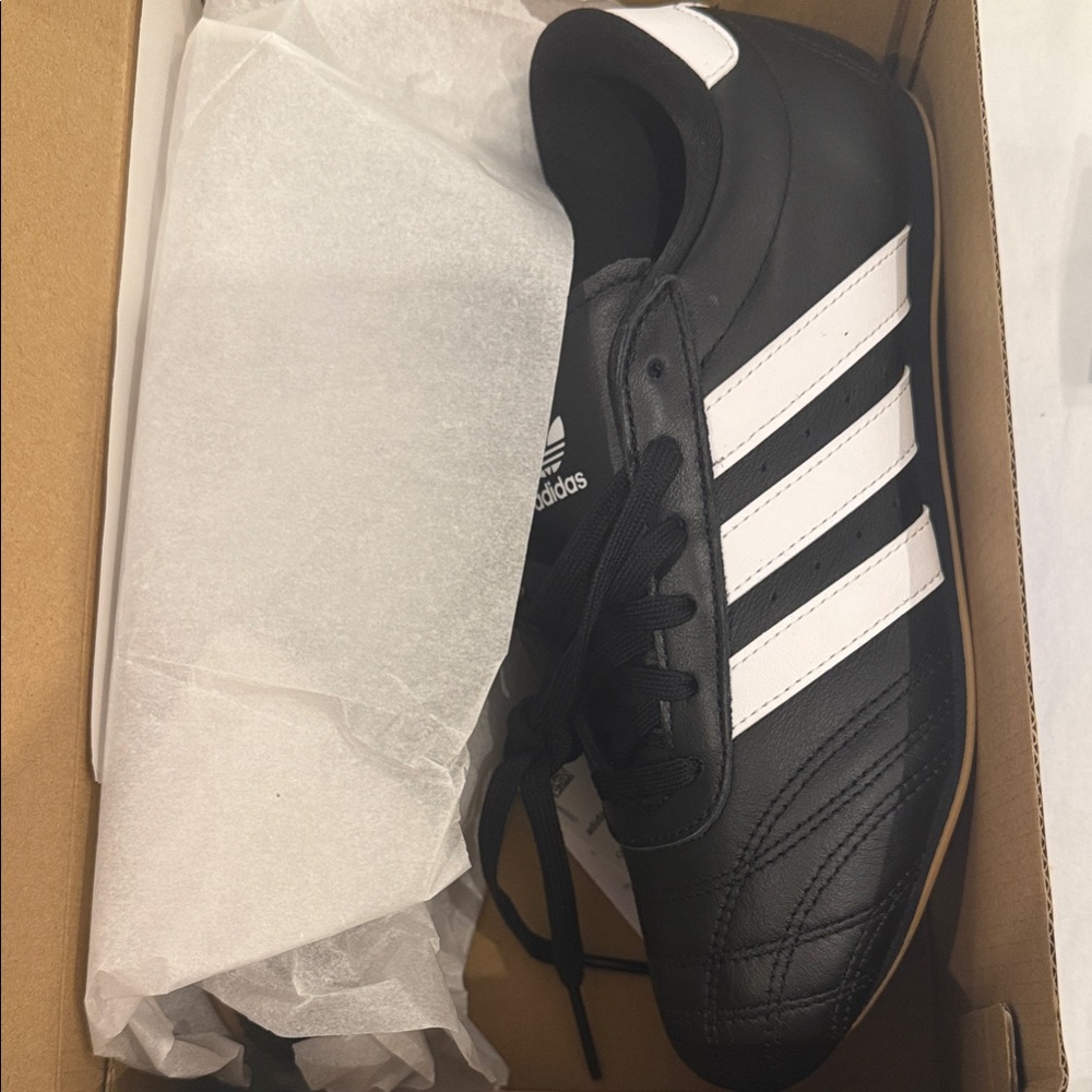 Adidas taekwondo